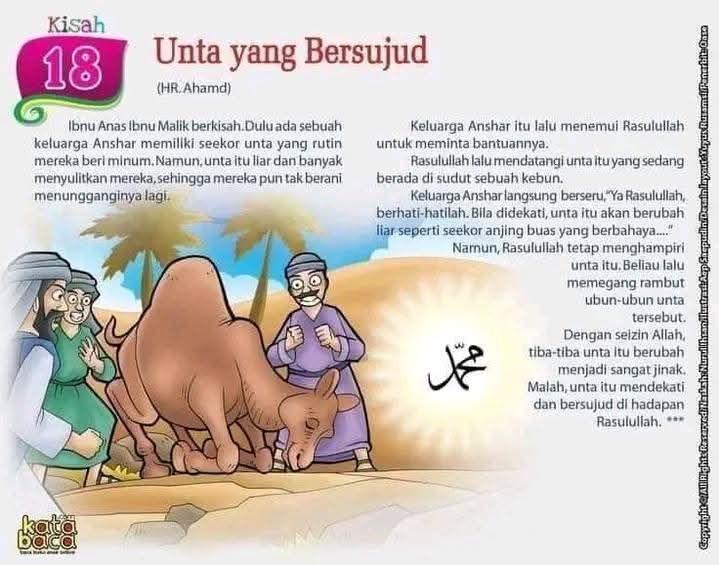 Lebih dari 700 orang meninggal dunia  akibat banjir dan longsor di Sumatra